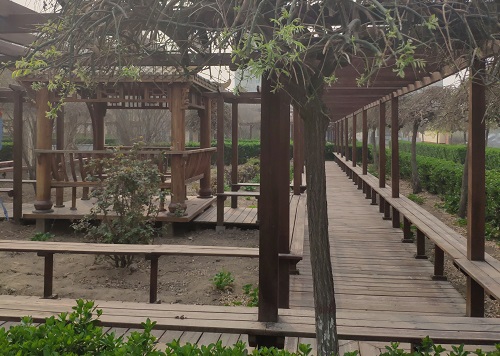 鐵路技校春天的景色 校園環境 第4張